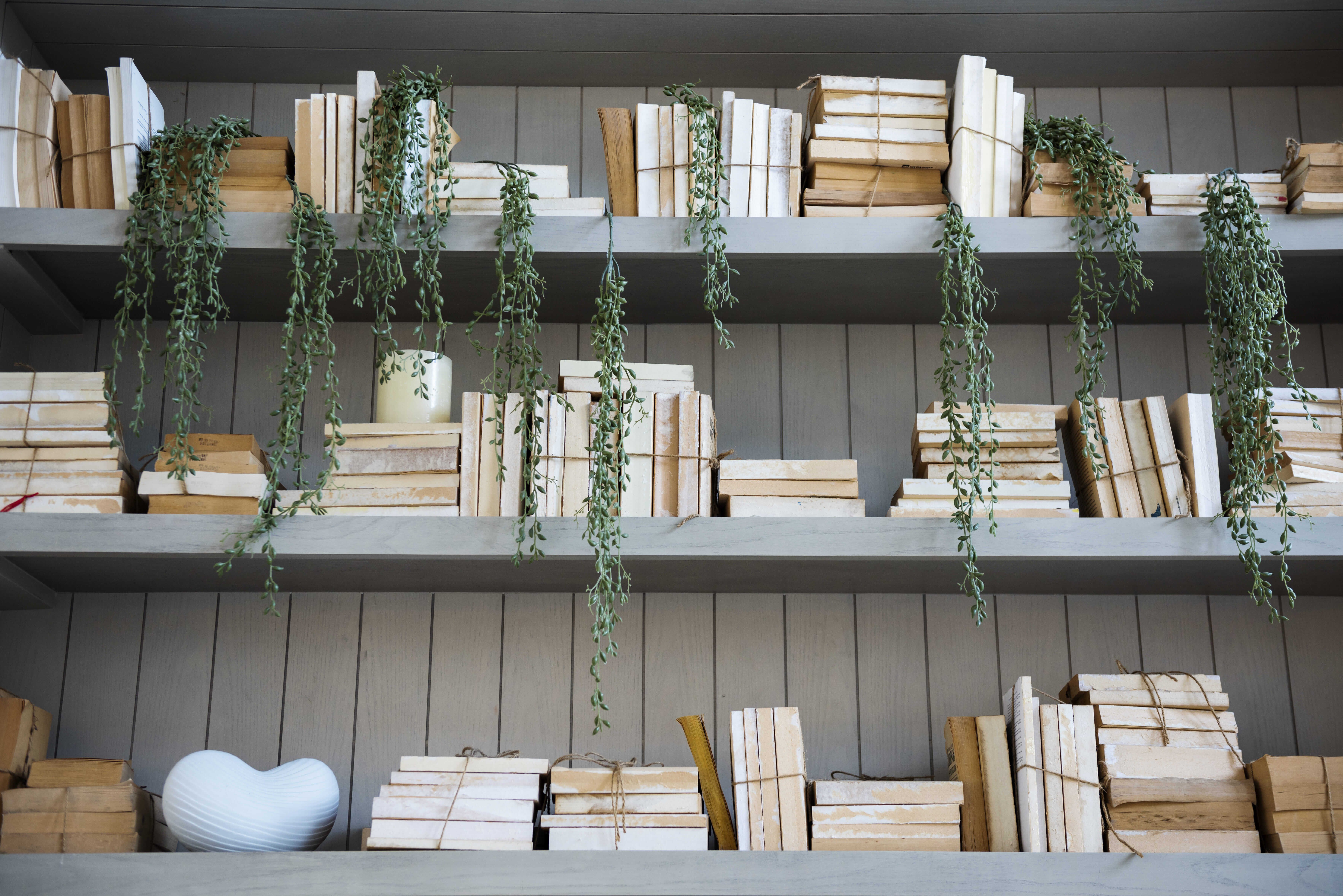 Книжные шкафы в интерьере