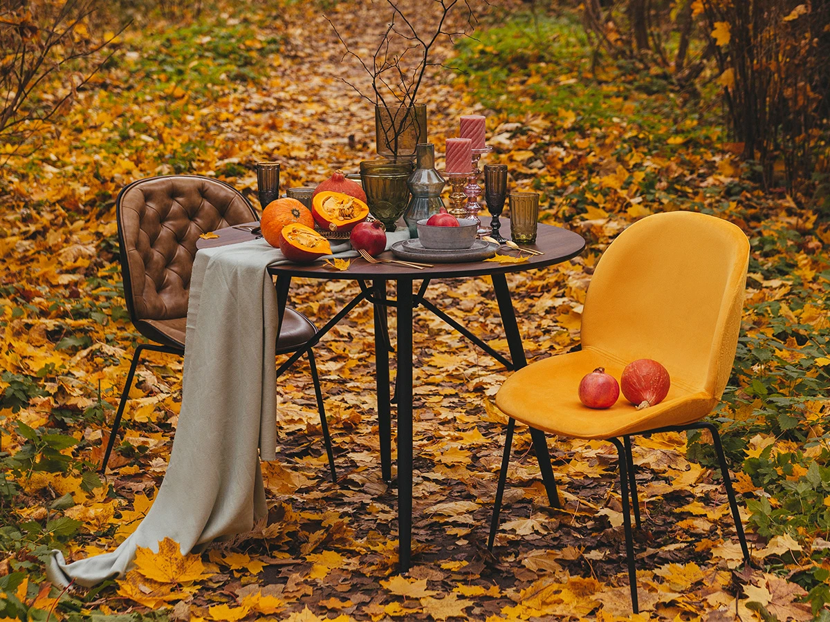 купить Стул Beetle в интернет-магазине