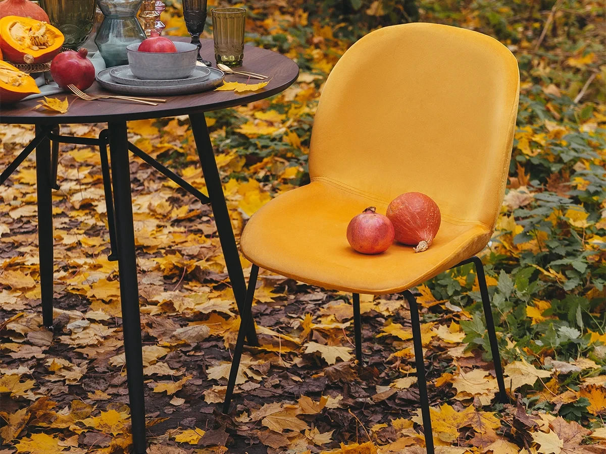 заказать Стул Beetle в интернет-магазине в Москве заказать Стул Beetle в интернет-магазине