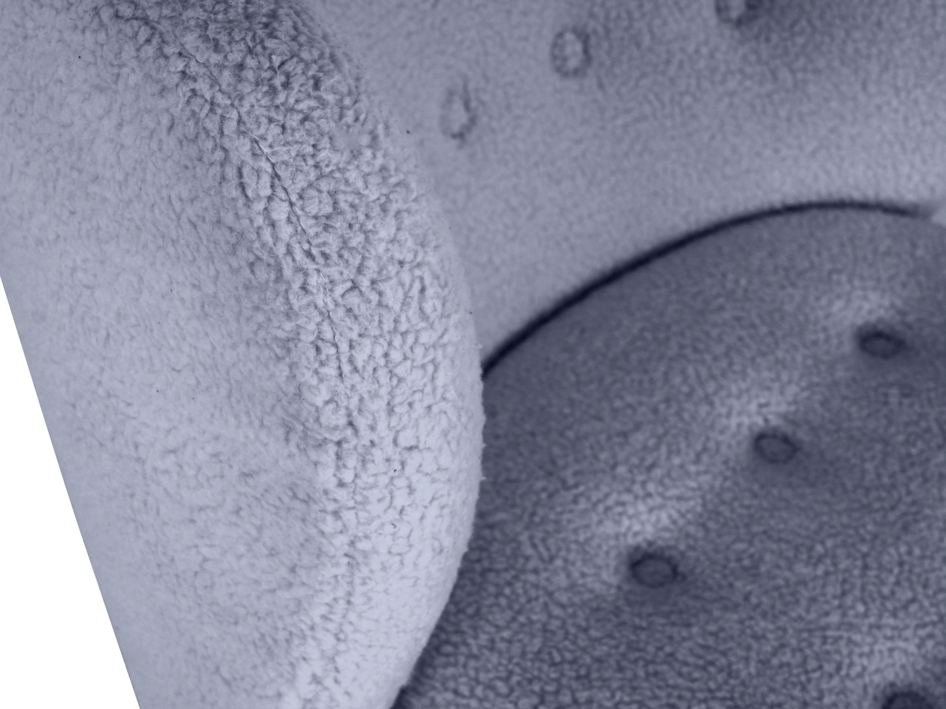 Кресло Lounge Wood в интернет-магазине в Москве Кресло Lounge Wood в интернет-магазине