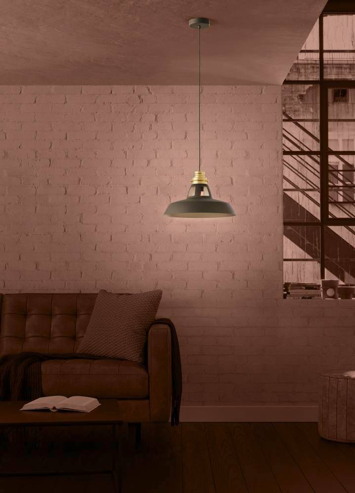 купить 390229 Подвесной светильник (люстра) ESPINARDO