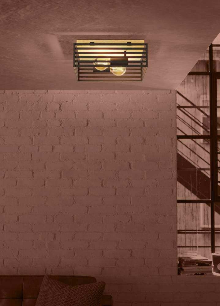 купить 390163 Потолочный светильник CIDRAZ