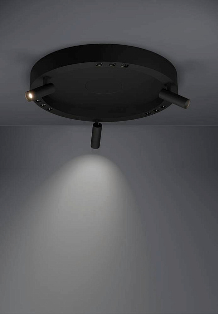 390052 Потолочный светильник BRUSCOLI в Москве 390052 Потолочный светильник BRUSCOLI