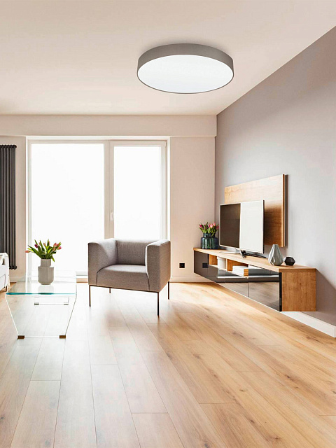 97616 Светильник потолочный PASTERI в Москве 97616 Светильник потолочный PASTERI