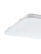 98447 Светильник настенно-потолочный светодиодный FRANIA №0