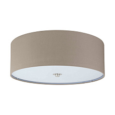 94919 Светильник потолочный PASTERI