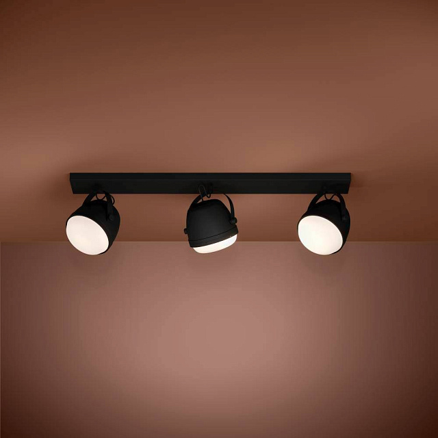 390045 Потолочный светильник UPANEMA в Москве 390045 Потолочный светильник UPANEMA