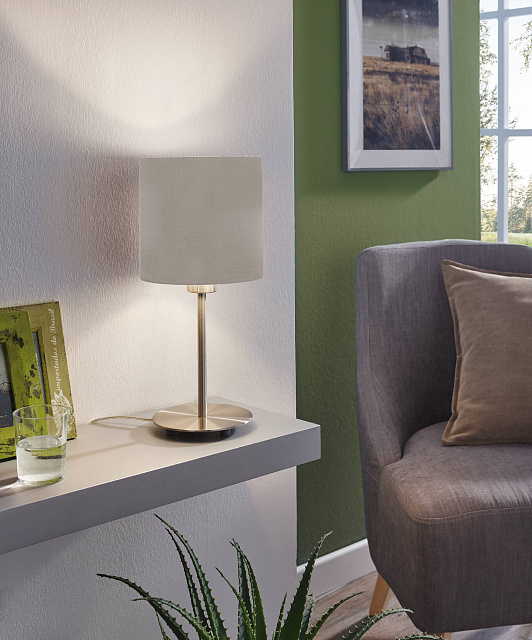 31595 Настольная лампа PASTERI