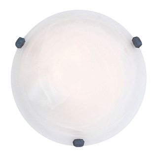 7897 Светильник настенно-потолочный SALOME