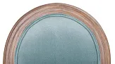 Стул c круглой спинкой Volker Light Green №5 в Москве