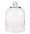 Колпак для цветов Agatha Vase №0