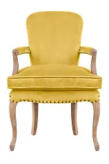 Мягкое полукресло с подлокотниками Anver Oak Yellow в интерьере