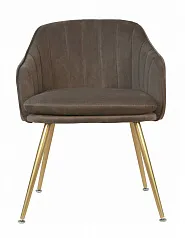 Стул Aqua Steel Brown в интерьере