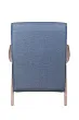 Низкое кресло Fobos blue №3