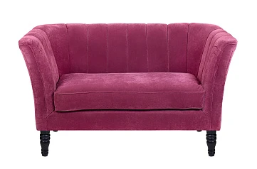 купить красивый Дизайнерский двухместный диван Dalena Violet