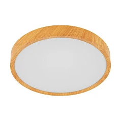 98602 Светодиодный потолочный светильник MUSURITA в интернет-магазине