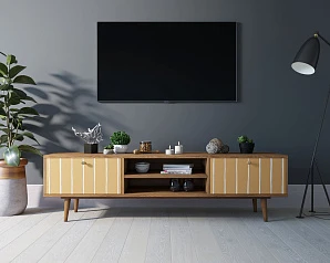 Комод "Berber" с нишей низкий под TV принт 43 арт BB49/Print_43 в интерьере