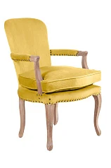 Мягкое полукресло с подлокотниками Anver Oak Yellow в интернет-магазине