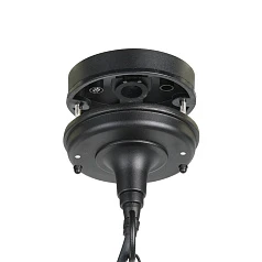 22471 Уличный подвесной светильник LATERNA 4