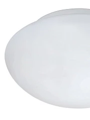 купить 81635 Светильник для ванной комнаты ELLA