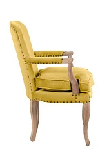 заказать Мягкое полукресло с подлокотниками Anver Oak Yellow