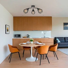 заказать 31531 Люстра TARBES, 3x60W(E27), сталь, черный в интернет-магазине