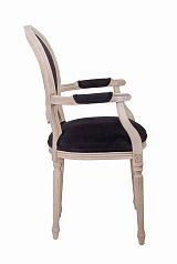 купить Мягкий стул с подлокотниками Delo Arm Black Velvet в интернет-магазине