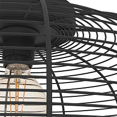 43896 Потолочная люстра RINROE, 1х40W (E27), H200, ?450, сталь, черный на заказ