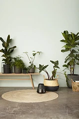 красивые СКАМЬЯ HUBSCH ИЗ ДУБА