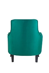 стильные Классическое кресло Monti Green