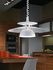 фото 87055 Подвесной потолочный светильник (люстра) BRENDA